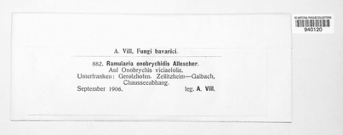Ramularia onobrychidis image